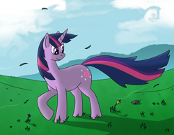 Size: 3300x2550 | Tagged: safe, artist:heavysteno, twilight sparkle, pony, unicorn, g4, female, grass, high res, scenery, solo, unicorn twilight, wind, windswept mane