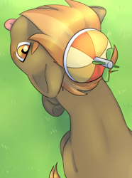 Size: 2928x3943 | Tagged: safe, artist:aquoquoo, button mash, earth pony, pony, g4, ;p, buttonbetes, colt, cute, high res, looking up, male, one eye closed, overhead view, solo, tongue out