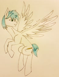 Size: 2679x3475 | Tagged: safe, artist:agdapl, oc, oc only, oc:white quartz, pegasus, pony, flying, high res, looking back, male, pegasus oc, signature, solo, stallion, traditional art