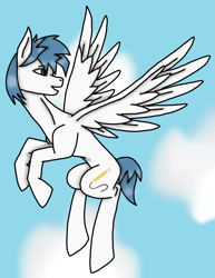 Size: 925x1200 | Tagged: safe, alternate version, artist:agdapl, oc, oc only, oc:white quartz, pegasus, pony, flying, looking back, male, pegasus oc, solo, stallion