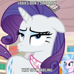 Size: 570x565 | Tagged: safe, edit, edited screencap, screencap, rarity, silverstream, smolder, dragon, hippogriff, pony, unicorn, g4, the end in friend, bandana, blatant lies, boomerang (tv channel), cropped, dragoness, female, horses doing horse things, innuendo, mare, maturity, neckerchief, nickering, snorting, solo focus, spit, store
