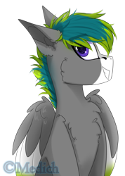 Size: 1861x2613 | Tagged: safe, artist:mediasmile666, oc, oc only, pegasus, pony, male, simple background, sitting, smiling, solo, stallion, transparent background, two toned wings, wings