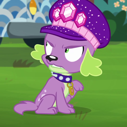 Size: 1080x1080 | Tagged: safe, screencap, spike, spike the regular dog, dog, equestria girls, g4, lost and pound, lost and pound: spike, my little pony equestria girls: better together, collar, cropped, gem, grass, hat, solo, spiked collar