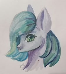 Size: 1440x1600 | Tagged: safe, artist:ske, earth pony, pony, solo, traditional art, watercolor painting