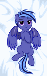 Size: 840x1350 | Tagged: safe, artist:sundust, oc, oc only, oc:vladborn, pegasus, pony, body pillow, body pillow design, cute, looking at you, male, ocbetes, pegasus oc, smiling, smiling at you, solo, stallion, wings