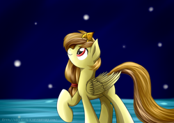 Size: 1024x720 | Tagged: dead source, safe, artist:mercurycraft7, oc, oc only, oc:alice, oc:alice goldenfeather, bird, pegasus, pony, baby phoenix, eyes closed, female, folded wings, long tail, looking up, mare, night, night sky, pegasus oc, sky, solo, stars, wings