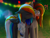 Size: 2560x1920 | Tagged: safe, artist:darky_wings, oc, oc only, oc:darky wings, oc:sayonara maxwell, pegasus, pony, apple, cheek kiss, clothes, eyebrows, eyebrows visible through hair, eyes closed, female, floppy ears, food, high res, hoodie, kissing, lesbian, mare, oc x oc, pegasus oc, shipping, surprise kiss, wide eyes