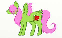 Size: 640x392 | Tagged: safe, artist:ponypumpkinpatch, oc, oc only, oc:honeycrisp, pegasus, pony, colored wings, female, filly, hair over eyes, offspring, parent:big macintosh, parent:fluttershy, parents:fluttermac, simple background, solo, tail feathers, white background, wings