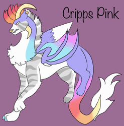 Size: 1280x1295 | Tagged: safe, artist:silver-ops, oc, oc only, oc:cripps pink, draconequus, hybrid, draconequus oc, interspecies offspring, magical gay spawn, male, offspring, parent:big macintosh, parent:discord, parents:discomac, purple background, simple background, solo