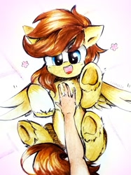 Size: 2075x2781 | Tagged: safe, artist:liaaqila, oc, oc only, oc:buttercup, human, pegasus, pony, bellyrubs, chest fluff, commission, hand, high res, human on pony petting, male, offscreen character, petting, solo, stallion, traditional art, underhoof