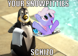 Size: 994x720 | Tagged: safe, rainbowshine, bird, penguin, g4, butler, meme, shitposting, snowpity, towel