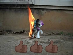 Size: 1440x1080 | Tagged: safe, rarity, pony, g4, abuse, antibronys, burning, emoji, fire, go to sleep zesty, irl, op is a duck, op is trying to start shit, photo, raribuse, solo, thumbs up, toy, toy abuse, youtube link