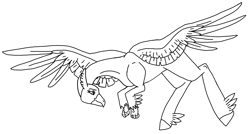 Size: 3326x1786 | Tagged: safe, artist:agdapl, oc, oc only, classical hippogriff, hippogriff, base, feathered fetlocks, flying, high res, hippogriff oc, lineart, looking down, monochrome, solo