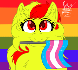 Size: 1343x1200 | Tagged: safe, artist:jay_wackal, oc, oc only, oc:marmalade, pegasus, pony, :3, female, holding a flag, lgbt, original character do not steal, pride, pride flag, smiling, solo, sparkly eyes, starry eyes, transgender, transgender pride flag, wingding eyes