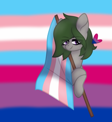 Size: 1051x1144 | Tagged: safe, artist:froyo15sugarblast, artist:nocturnal-moonlight, oc, oc only, oc:penny apple, earth pony, pony, base used, bisexual pride flag, eye clipping through hair, female, flag, heart, lgbt, lgbt flag, lgbtq, mare, pride, pride flag, pride month, shading, smiling, solo, trans female, transgender, transgender pride flag