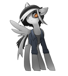 Size: 1505x1682 | Tagged: safe, artist:starlightspark, spot, oc, oc only, oc:serendipity, pegasus, pony, crisis equestria, g4, clothes, female, filly, jacket, pegasus oc, simple background, solo, transparent background