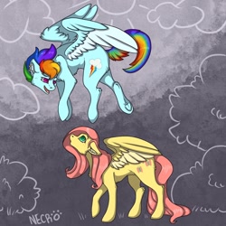 Size: 1500x1500 | Tagged: safe, artist:necrocuta, fluttershy, rainbow dash, pegasus, pony, g4, female, floppy ears, flying, frog (hoof), lesbian, looking down, looking up, mare, ship:flutterdash, shipping, underhoof