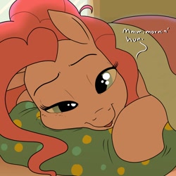 Size: 1200x1200 | Tagged: safe, artist:pony quarantine, pinkie pie, earth pony, pony, g4, blanket, dialogue, female, lidded eyes, looking at you, mare, morning ponies, pillow, ponk, solo, talking to viewer