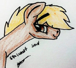 Size: 560x501 | Tagged: safe, artist:beamybutt, oc, oc only, earth pony, pony, bust, earth pony oc, signature, smiling, solo, traditional art