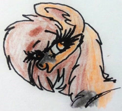 Size: 477x437 | Tagged: safe, artist:beamybutt, oc, oc only, earth pony, pony, bust, earth pony oc, eyelashes, female, mare, signature, solo, traditional art