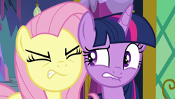 Size: 1280x720 | Tagged: safe, screencap, fluttershy, twilight sparkle, alicorn, pegasus, pony, a health of information, g4, season 7, duo, eyes closed, female, gritted teeth, lip bite, mare, out of context, twilight sparkle (alicorn)