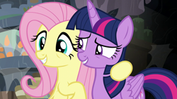 Size: 1920x1080 | Tagged: safe, screencap, fluttershy, twilight sparkle, alicorn, pegasus, pony, a health of information, g4, season 7, duo, female, grin, mare, smiling, twilight sparkle (alicorn)