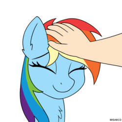 Size: 1500x1500 | Tagged: safe, artist:irisarco, rainbow dash, ambiguous race, human, pegasus, pony, g4, animated, chest fluff, cute, dashabetes, duo, ear fluff, eyes closed, female, frame by frame, gif, happy, head pat, human on pony petting, male, mare, offscreen character, pat, perfect loop, petting, simple background, smiling, sweet dreams fuel, watermark