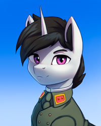 Size: 2743x3442 | Tagged: safe, artist:mrscroup, oc, oc only, oc:lucky roll, pony, equestria at war mod, bust, clothes, high res, looking at you, portrait, solo, uniform