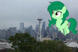 Size: 2048x1364 | Tagged: safe, artist:sirmlp1, wallflower blush, earth pony, pony, g4, cloud, cloudy, equestria girls ponified, female, giant pony, giantess, highrise ponies, irl, macro, photo, ponies in real life, ponified, seattle, washington