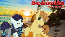 Size: 2064x1197 | Tagged: safe, anonymous artist, coloratura, feather bangs, pony, g4, beach, colorabangs, duet, female, lyrics in the description, male, ocean, one eye closed, palm tree, rock, sand, scenery, shipping, sky, smiling, song reference, straight, summer, sunset, tree, wink, youtube link in the description