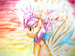 Size: 1920x1440 | Tagged: safe, artist:stardust0130, scootaloo, pegasus, pony, g4, crying, female, filly, sad, solo, wings