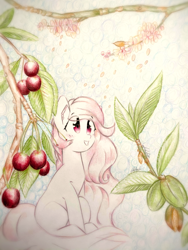 Size: 1920x2560 | Tagged: safe, artist:stardust0130, oc, oc only, pegasus, pony, female, mare, solo
