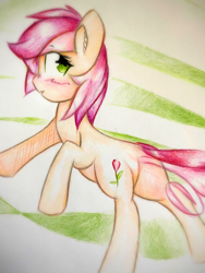 Size: 1920x2560 | Tagged: safe, artist:stardust0130, roseluck, earth pony, pony, g4, blushing, female, mare, solo