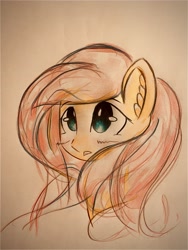 Size: 3024x4032 | Tagged: safe, artist:stardust0130, fluttershy, pegasus, pony, g4, blushing, cute, daaaaaaaaaaaw, female, mare, shyabetes, solo