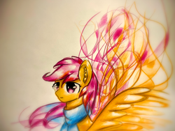 Size: 1920x1440 | Tagged: safe, artist:stardust0130, scootaloo, pegasus, pony, g4, clothes, female, filly, scarf, solo