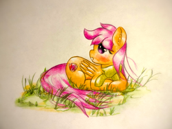 Size: 1920x1440 | Tagged: safe, artist:stardust0130, scootaloo, pegasus, pony, g4, blushing, clothes, cute, cutealoo, female, filly, scarf, solo