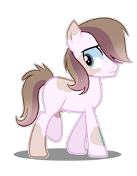 Size: 2210x2831 | Tagged: safe, artist:amicasecretuwu, oc, oc only, earth pony, pony, high res, male, simple background, solo, teenager, transparent background