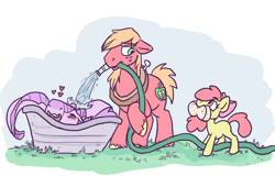 Size: 782x499 | Tagged: safe, artist:purple-blep, apple bloom, big macintosh, oc, oc:scylla, dragon, earth pony, pony, g4, female, filly, grass, hose, male, sponge, stallion, water