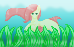 Size: 2000x1280 | Tagged: safe, artist:animeandanimallover3, oc, oc only, merpony, seapony (g4), crepuscular rays, deviantart watermark, dorsal fin, female, flowing mane, green eyes, looking at you, not fluttershy, obtrusive watermark, ocean, red mane, seaweed, solo, swimming, underwater, water, watermark