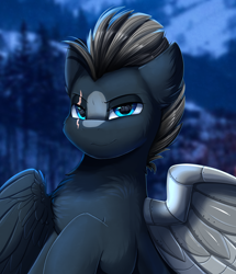 Size: 2582x3003 | Tagged: safe, artist:pridark, oc, oc only, pegasus, pony, amputee, artificial wings, augmented, blue eyes, commission, eye scar, high res, lidded eyes, looking at you, male, night, night sky, pegasus oc, prosthetic limb, prosthetic wing, prosthetics, scar, sky, smiling, smiling at you, smirk, solo, stallion, wings