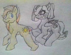 Size: 1932x1500 | Tagged: safe, artist:midday sun, oc, oc:midday sun, oc:two tone, earth pony, pegasus, pony, cutie mark, freckles, glasses, traditional art