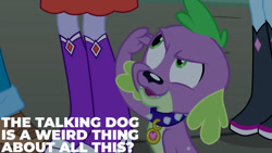 Size: 1280x720 | Tagged: safe, edit, edited screencap, editor:quoterific, screencap, spike, dog, equestria girls, g4, my little pony equestria girls, boots, collar, dog collar, female, legs, male, offscreen character, open mouth, shoes, spike the dog