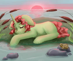 Size: 4500x3800 | Tagged: safe, artist:rinamoony, oc, oc only, frog, pony, unicorn, cattails, eyes closed, female, lake, reeds, river, scenery, sleeping, solo, sunset, water