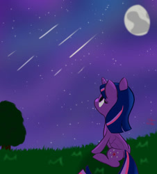 Size: 1280x1416 | Tagged: safe, artist:sylphanscribe, twilight sparkle, alicorn, pony, g4, atg 2021, female, moon, newbie artist training grounds, night, night sky, shooting star, sky, solo, stargazing, twilight sparkle (alicorn)