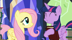 Size: 1920x1080 | Tagged: safe, screencap, fluttershy, twilight sparkle, alicorn, pegasus, pony, g4, season 5, the hooffields and mccolts, ^^, book, duo, duo female, eyes closed, female, folded wings, mare, twilight sparkle (alicorn), wings