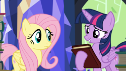 Size: 1920x1080 | Tagged: safe, screencap, fluttershy, twilight sparkle, alicorn, pegasus, pony, g4, season 5, the hooffields and mccolts, book, duo, duo female, female, folded wings, mare, twilight sparkle (alicorn), wings
