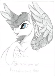 Size: 1275x1752 | Tagged: safe, artist:silbernepegasus, oc, oc only, oc:northice, pegasus, pony, solo, traditional art