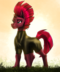 Size: 2500x3000 | Tagged: safe, artist:mykegreywolf, tempest shadow, pony, unicorn, g4, my little pony: the movie, bodysuit, broken horn, clothes, female, high res, horn, mare, smiling, solo