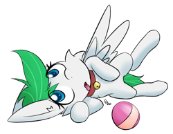 Size: 2048x1590 | Tagged: safe, artist:ponballoon, oc, oc only, oc:zephyr, pegasus, pony, fanfic:zephyr, ball, behaving like a dog, bell, bell collar, cat bell, collar, female, lying down, mare, open mouth, pet play, pony pet, solo, tongue out