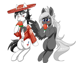 Size: 1700x1400 | Tagged: safe, artist:zachc, oc, oc only, earth pony, pegasus, pony, clothes, duo, eating, female, food, herbivore, hoof hold, male, mare, simple background, sombrero, stallion, watermelon, white background, wing hands, wings
